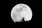 Du mythe  la science : la Lune et l'Homme
